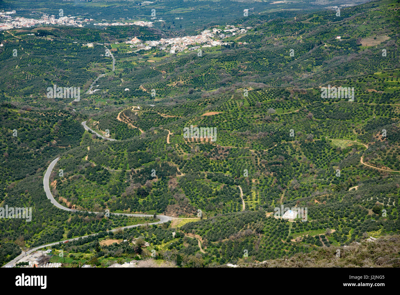 Olive groves in the Dikti Mountains in the Lasithi region of Crete near Kastamonitsa. Stock Photo
