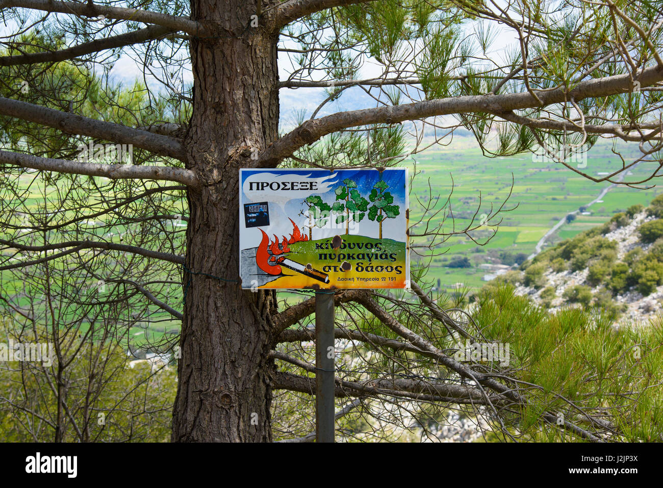 A forestry No smoking sign on a tree, Lasithi Plateau, Crete, Greece. Stock Photo