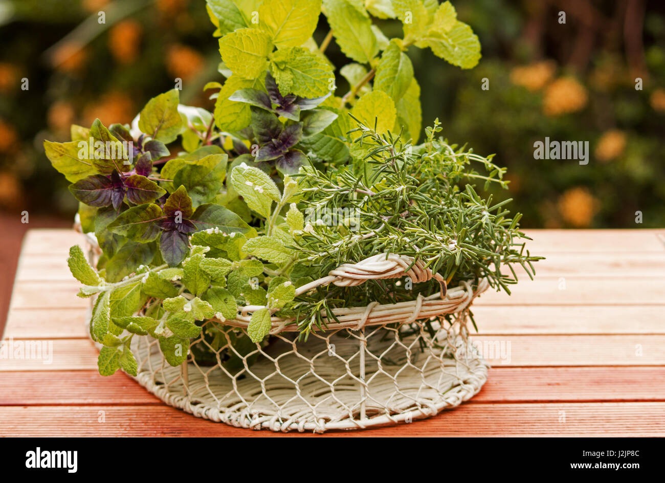 Basket of herbs in the garden Stock Photo Alamy