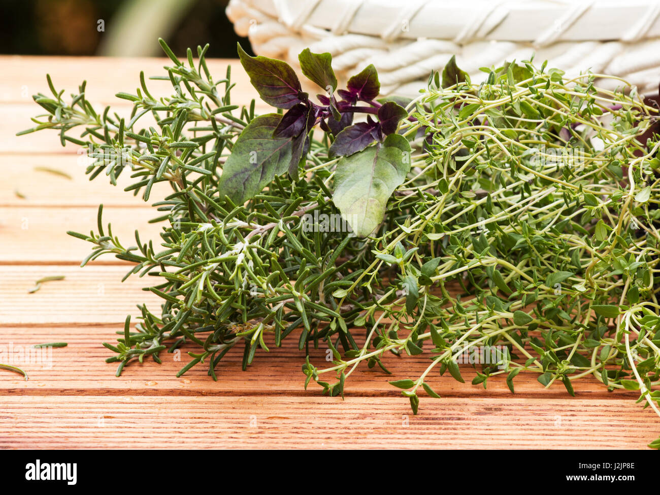 Basket of herbs in the garden Stock Photo Alamy