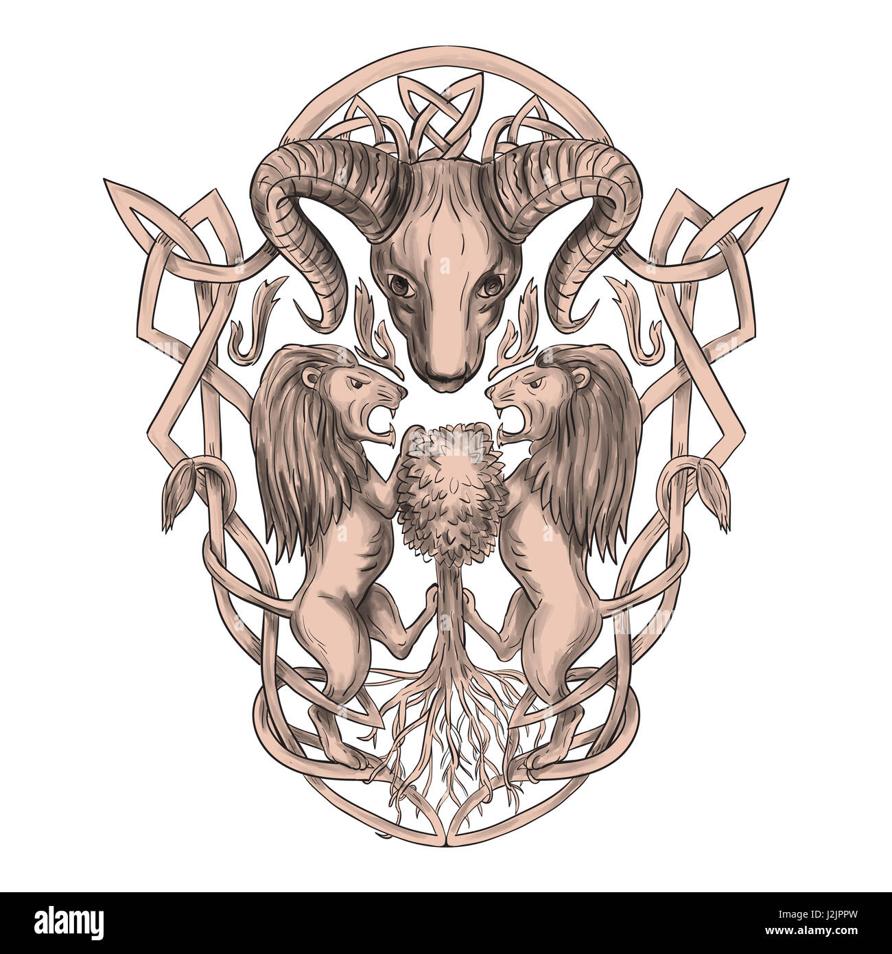 Tattoo style illustration of stylized bighorn sheep head with two lion supporters climbing on tree with Celtic knot, called Icovellavna, plait work or Stock Photo