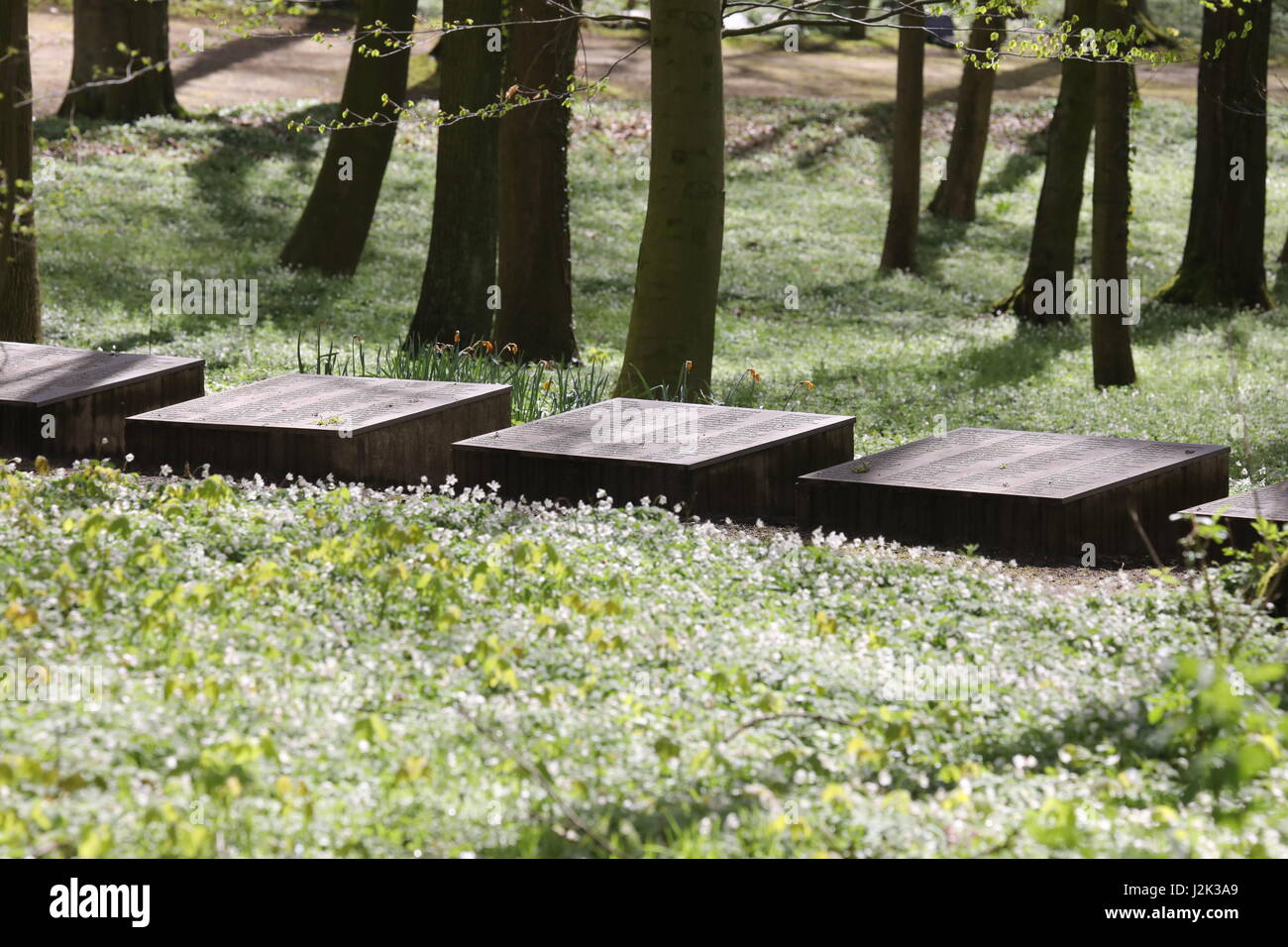 The southern cemetery for the Dead of the NKVD special camp can be seen