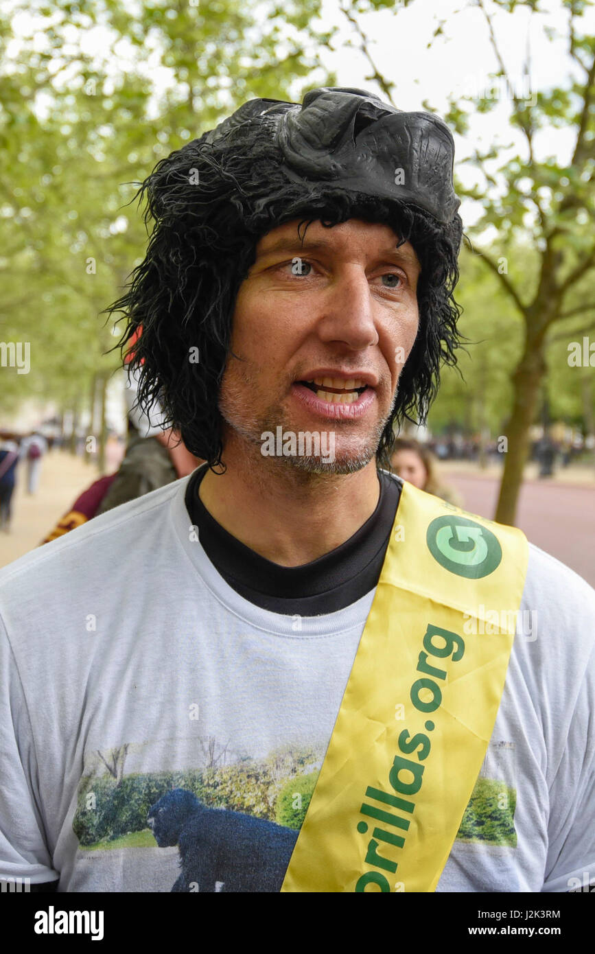 London, UK.  29 April 2017.  Met Police officer Tom Harrison, 41, known as 'Mr Gorilla', celebrates after finally completing the London Marathon after six days of crawling and raising £23,900 for The Gorilla Organisation.   Credit: Stephen Chung / Alamy Live News Stock Photo