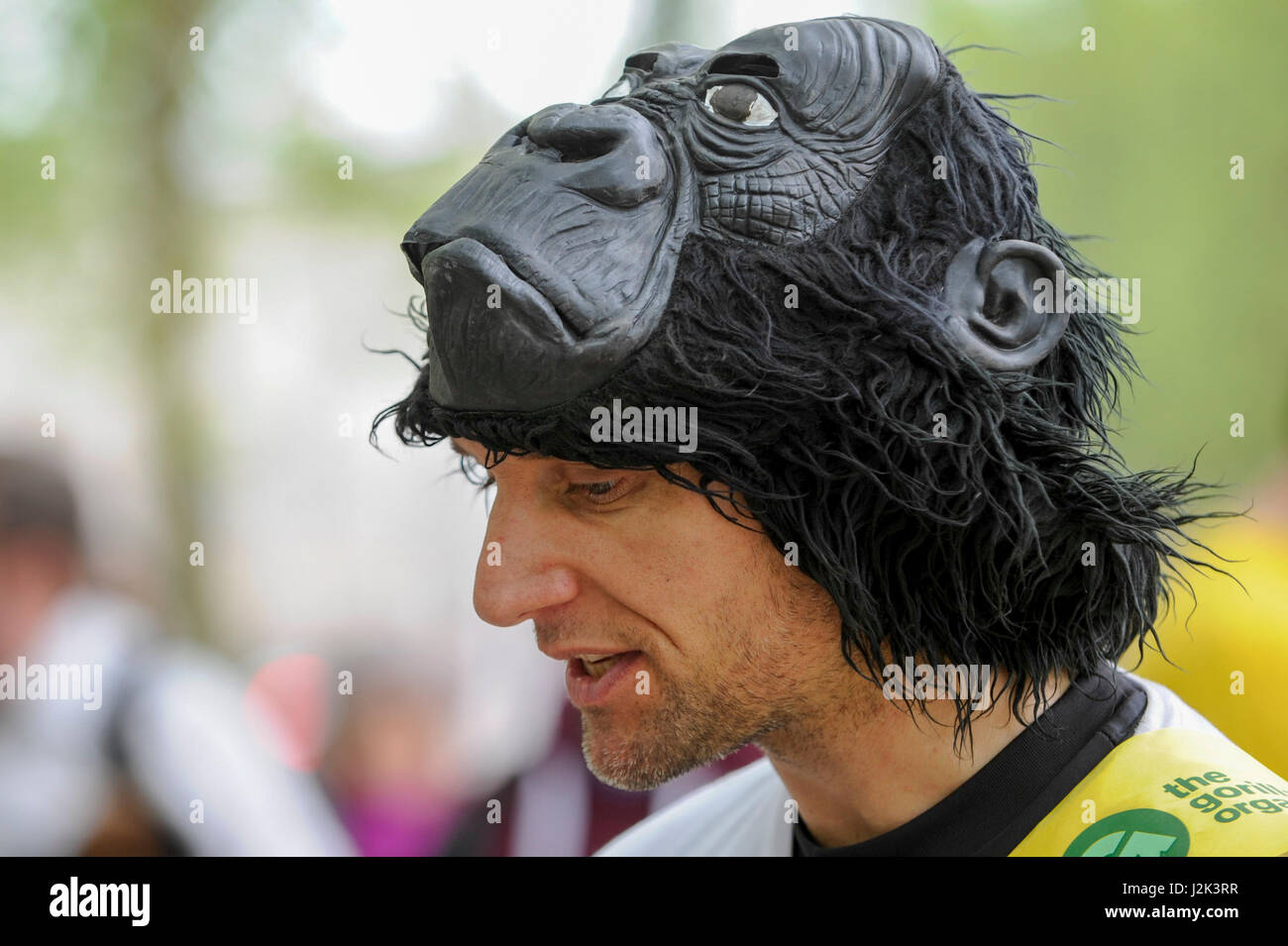 London, UK.  29 April 2017.  Met Police officer Tom Harrison, 41, known as "Mr Gorilla", celebrates after finally completing the London Marathon after six days of crawling and raising £23,900 for The Gorilla Organisation.   Credit: Stephen Chung / Alamy Live News Stock Photo