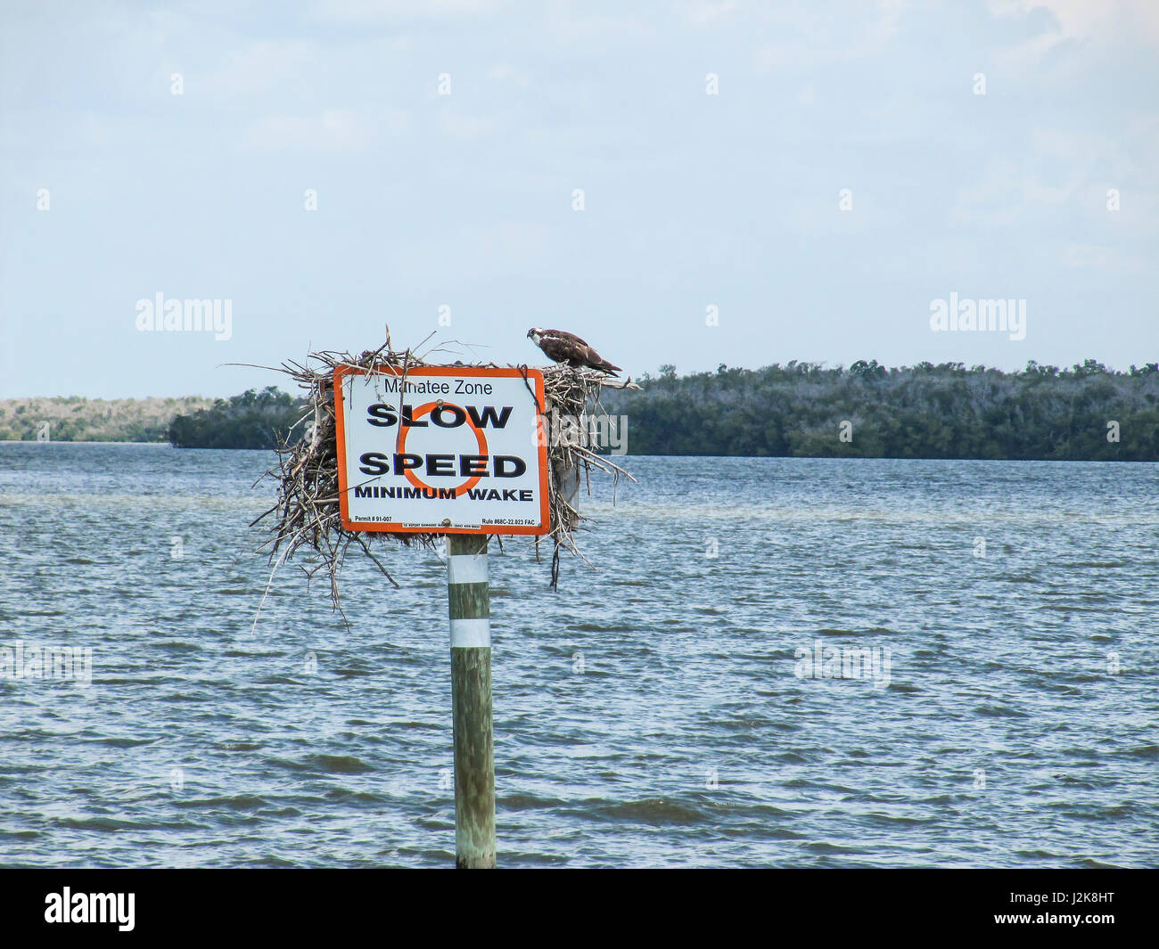 Manatees Danger Sign with Slow Down Speed Minimum Wake and Osprey or