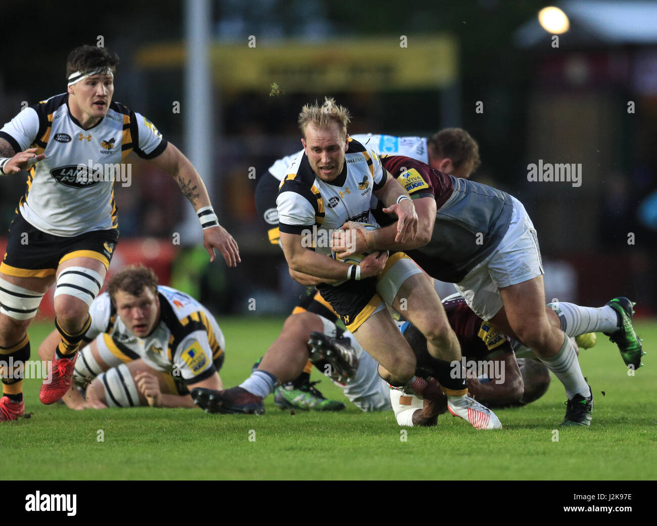 Rob Robson Rugby Dan robson of wasps rugby hi-res stock photography and images - Alamy
