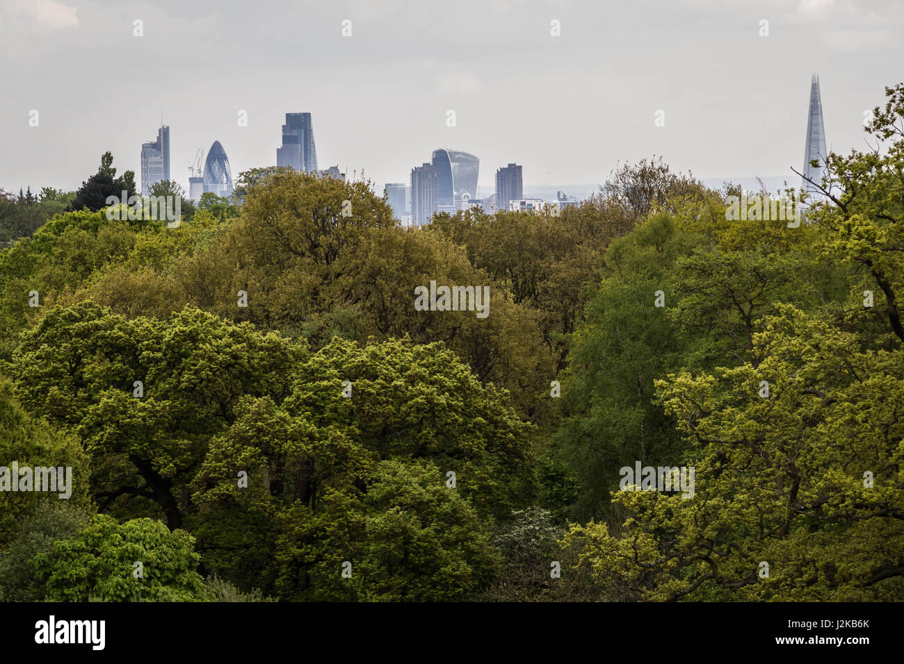 (L-R) Guerkin, Cheesegrater, Walkie-Talkie and Shard buildings seen over treetops from Hampsted Heath park in north west London, UK. Stock Photo