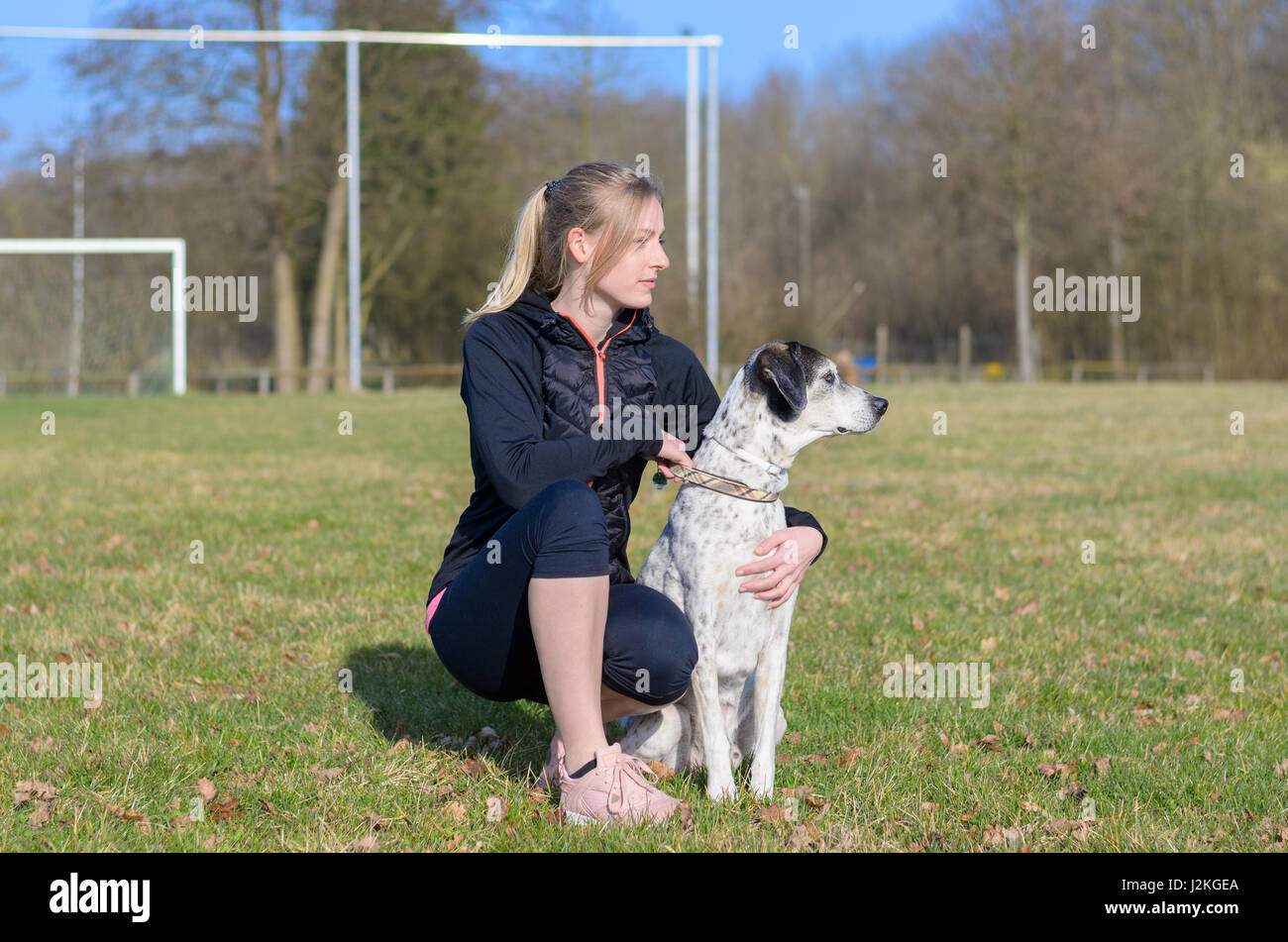 How Many Commands Can A Dog Learn how-many-commands-can-a-dog-learn