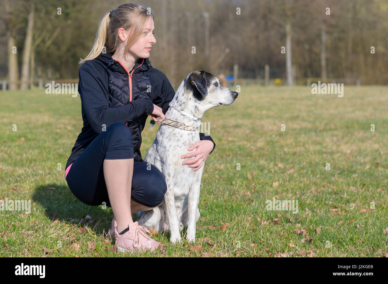How To Train A Dog Down Command