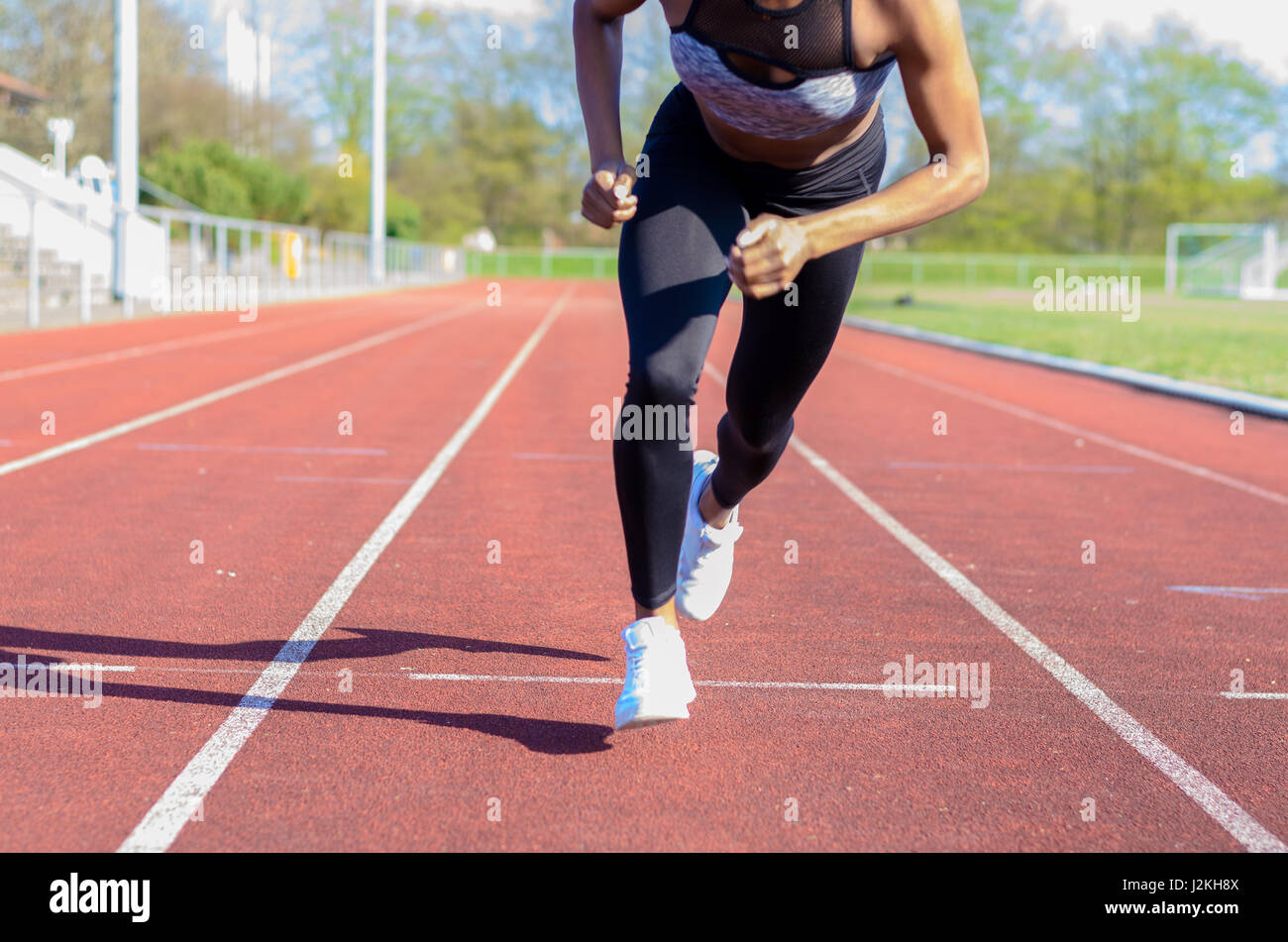 Muscular legs of athletic young man - Stock Image - P701/0062 - Science  Photo Library