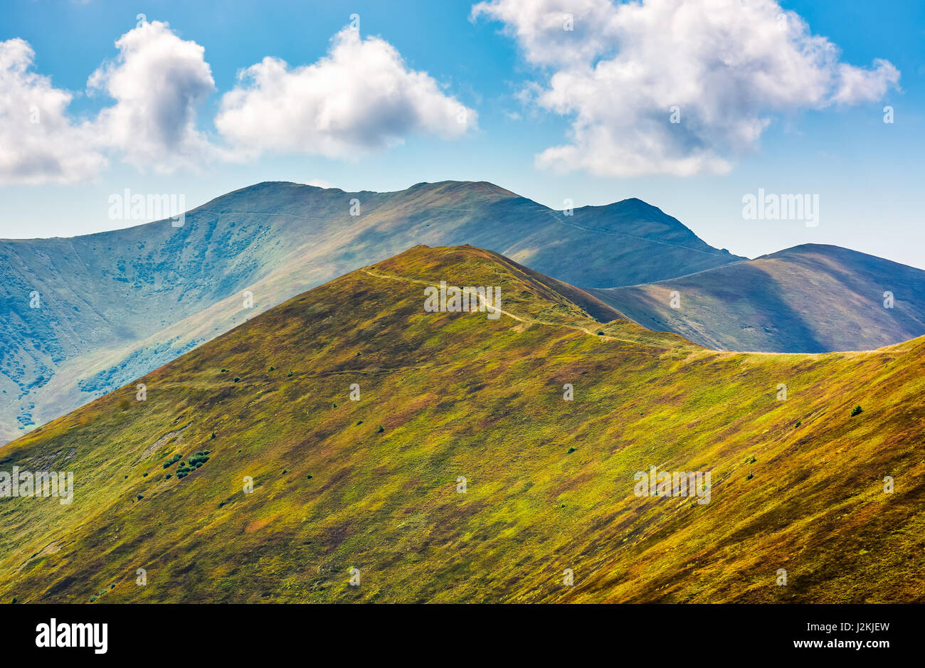 beautiful summer landscape. grassy meadow on a hillside of mountain ridge. good weather with blue sky and few clouds Stock Photo