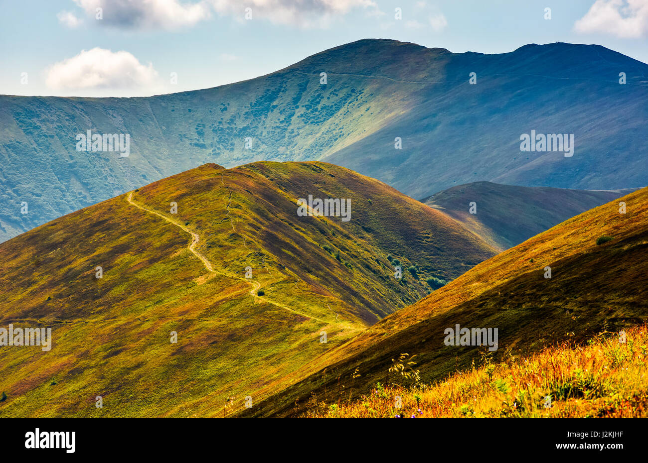 beautiful summer landscape. grassy meadow on a hillside of mountain ridge. good weather with blue sky and few clouds Stock Photo