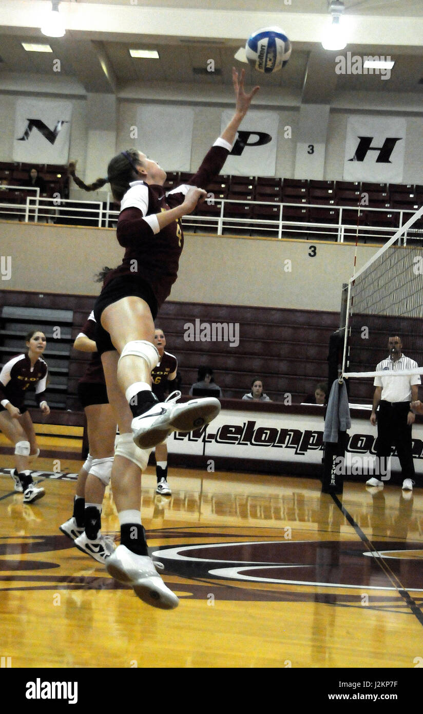 University Volleyball player, Stock Photo
