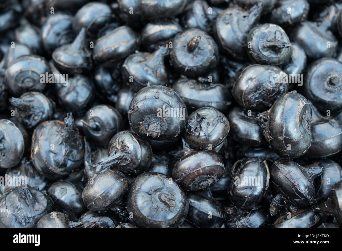 Water chestnuts hires stock photography and images Alamy