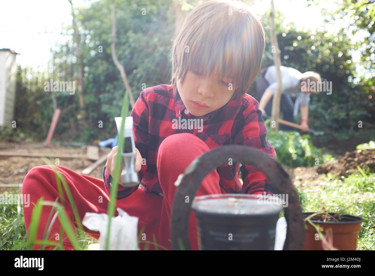 Mixed race Chinese British boy at the allotment Stock Photo