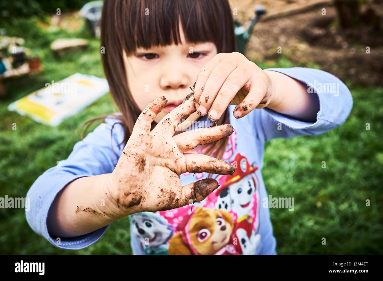 Mixed race Chinese British girl at the allotement Stock Photo Alamy