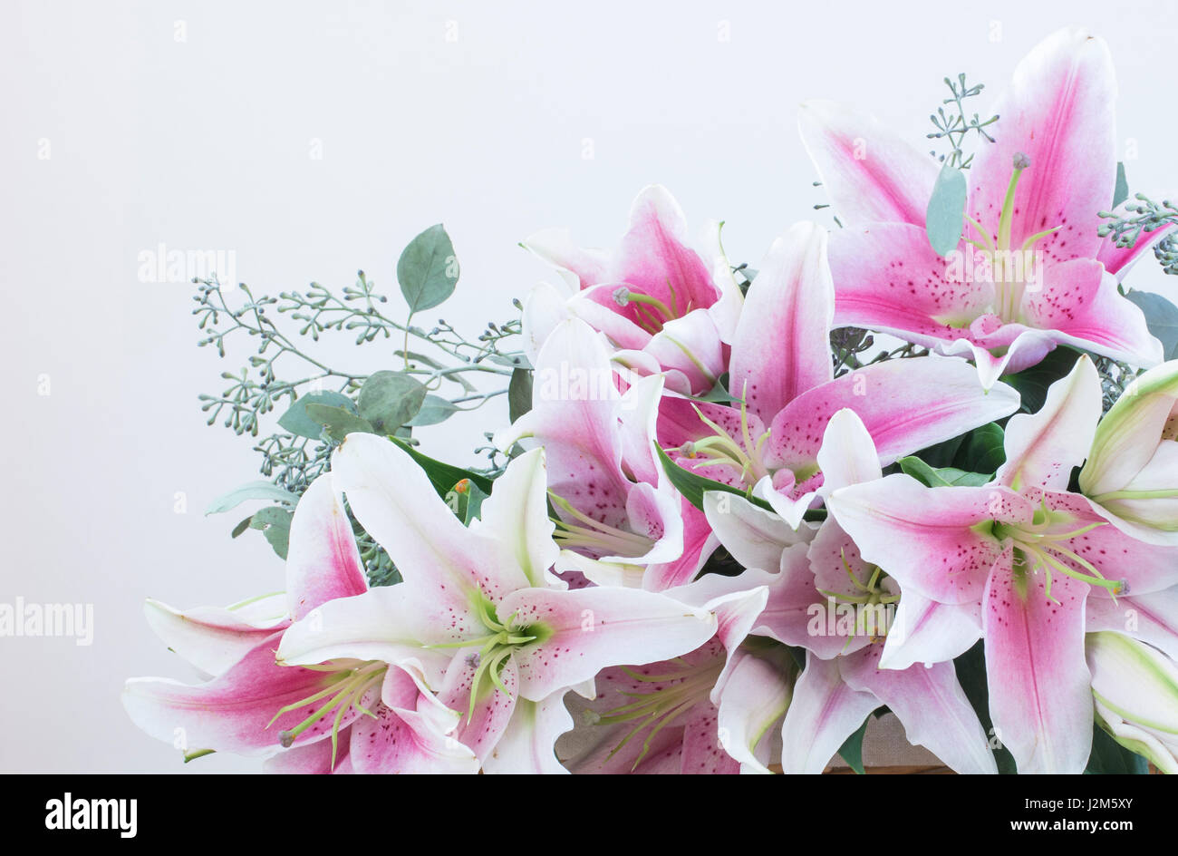 Bouquet of pink lilies on white background Stock Photo - Alamy