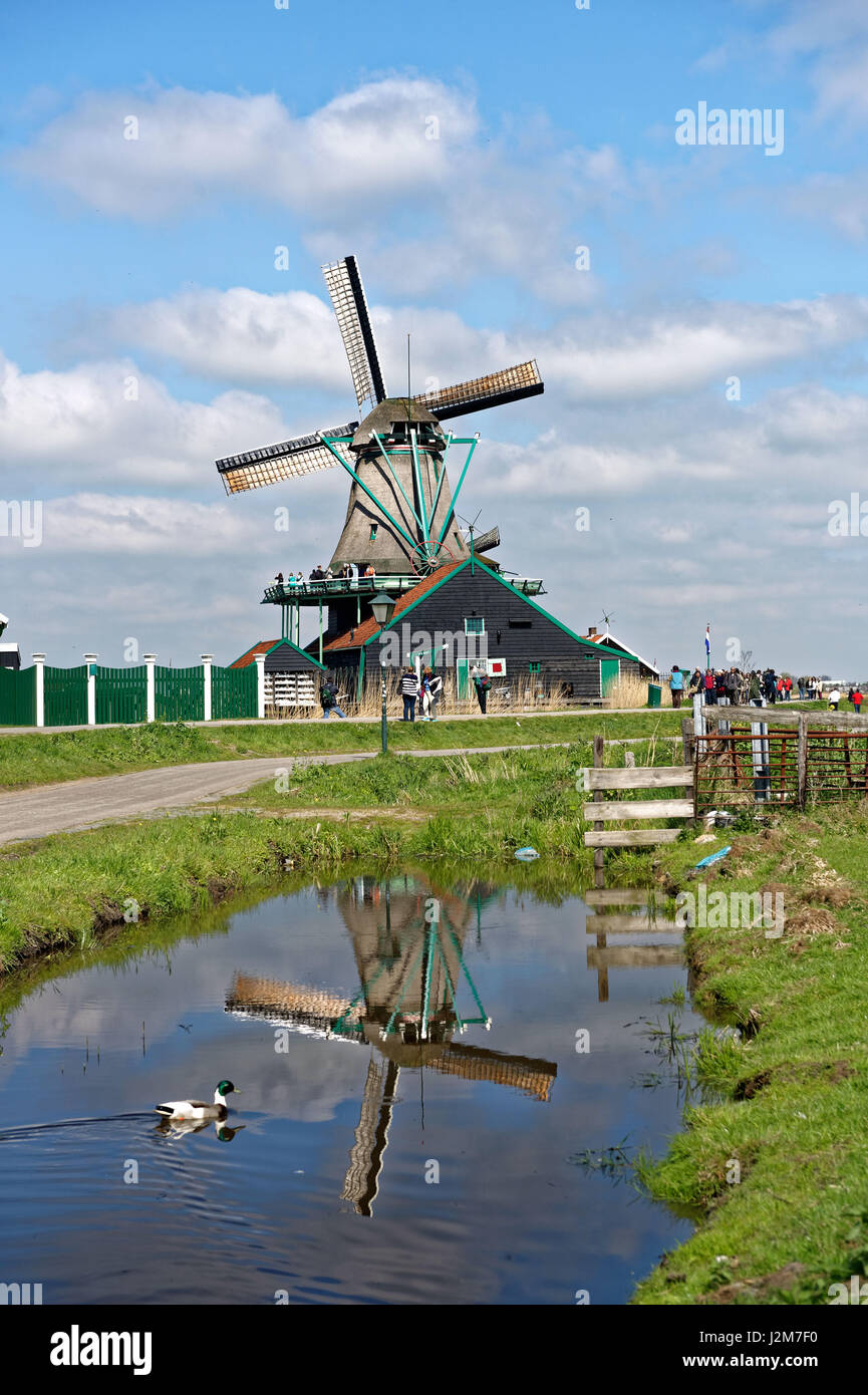 Netherlands, North Holland / Noord-Holland, Zaandam, windmills at Zaanse Schans Stock Photo