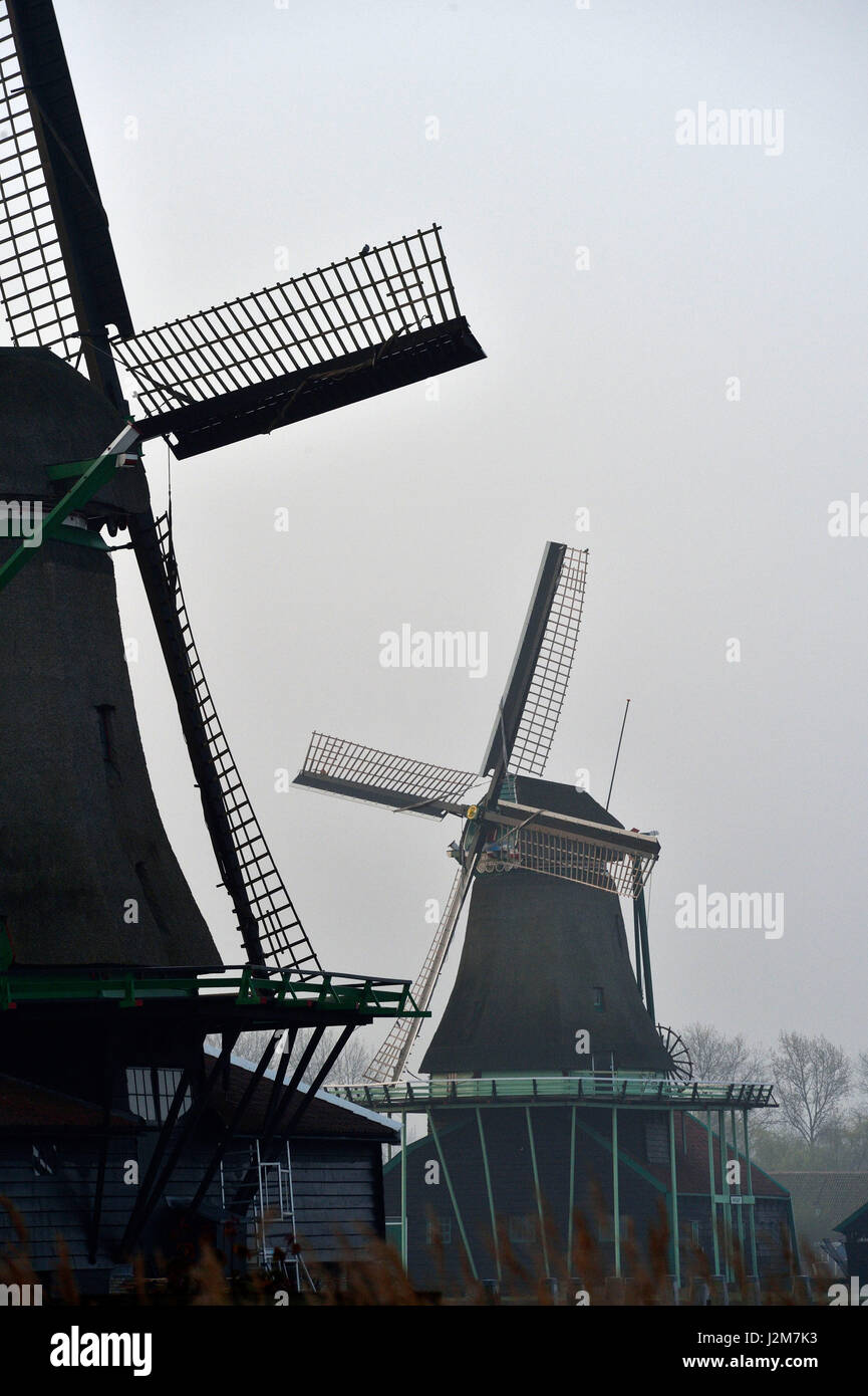 Netherlands, North Holland / Noord-Holland, Zaandam, windmills at Zaanse Schans, outdoor museum Stock Photo