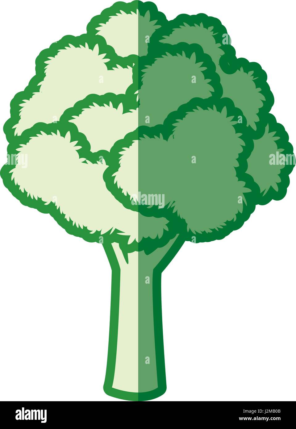 tree leafy wood plant green silhouette Stock Vector Image & Art - Alamy