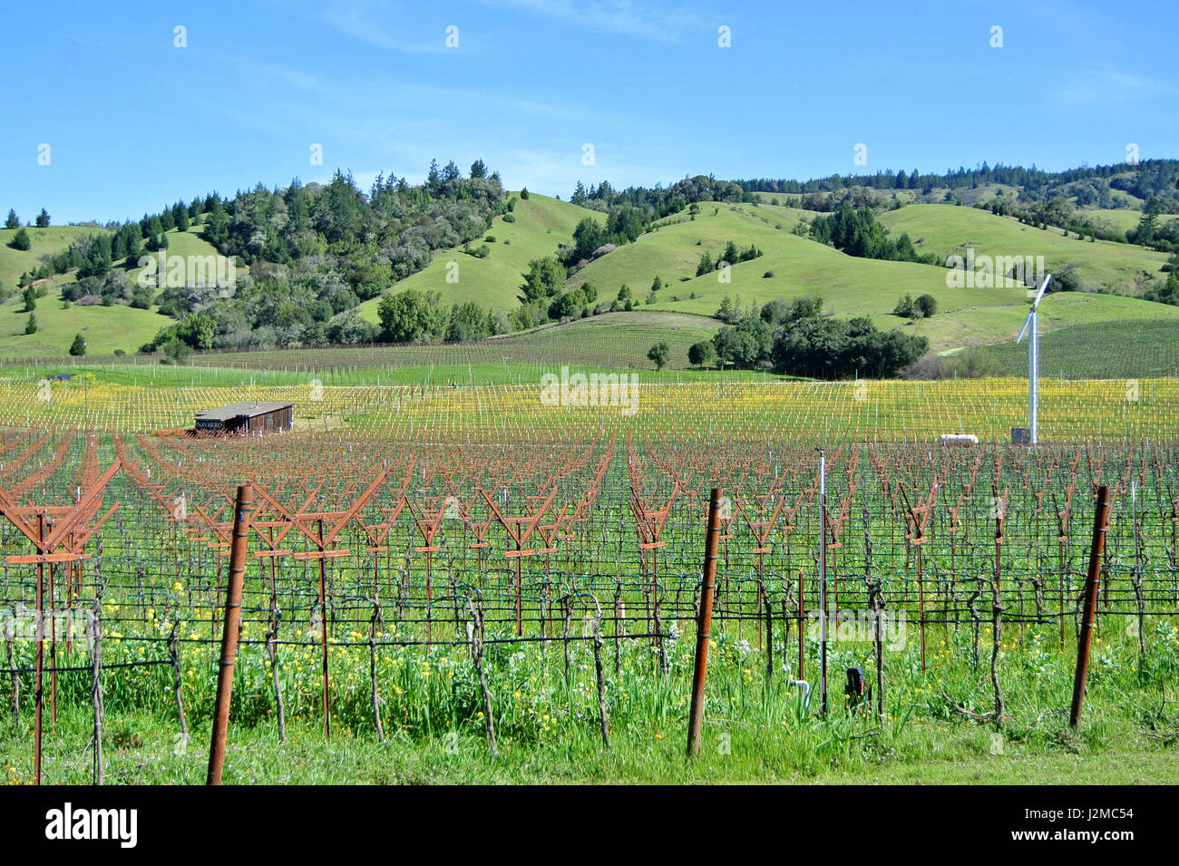 Anderson valley hires stock photography and images Alamy