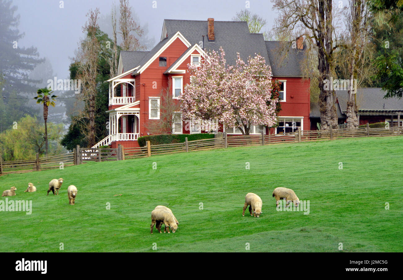 farmhouse on highway 129 in the anderson valley wine country Stock Photo Alamy