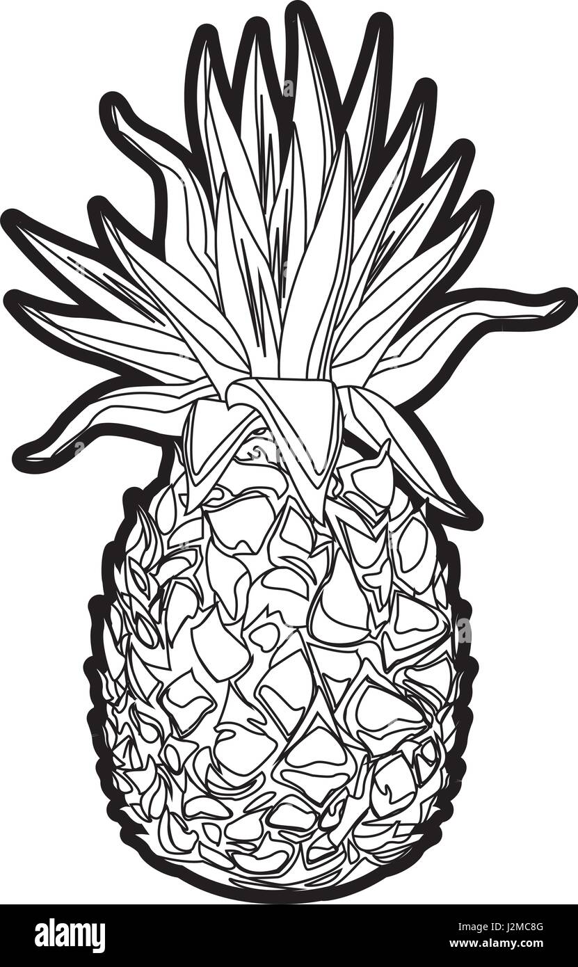 pineapple tropical fruit tasty outline Stock Vector Image & Art - Alamy