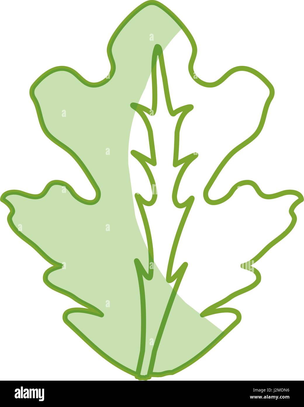 silhouette delicious leaf lettuce organ food Stock Vector Image & Art