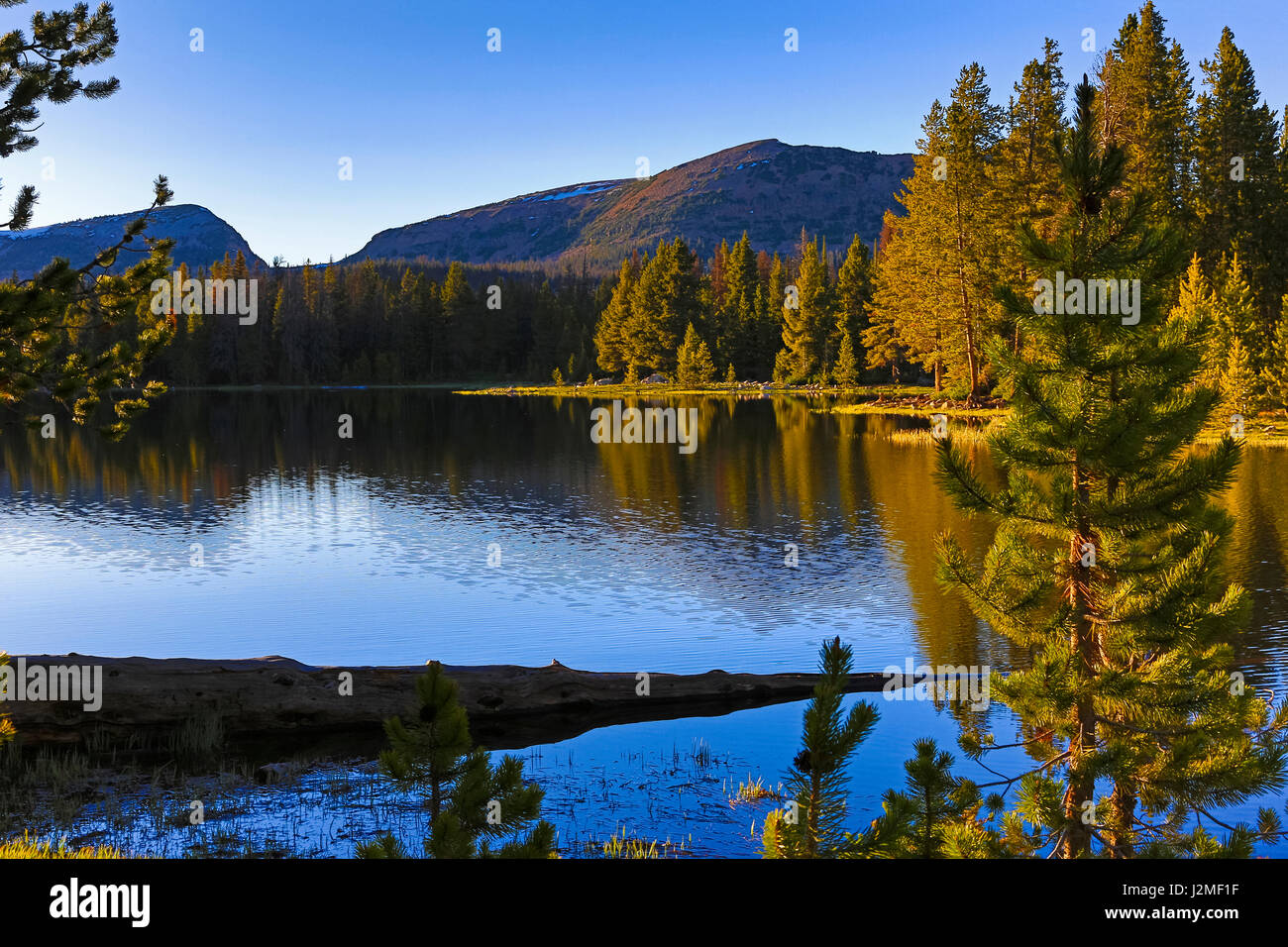 A late-afternoon view of Teapot Lake in the Uinta Mountains of northern Utah.  This picturesque lake is located along the Mirror Lake Scenic Byway. Stock Photo