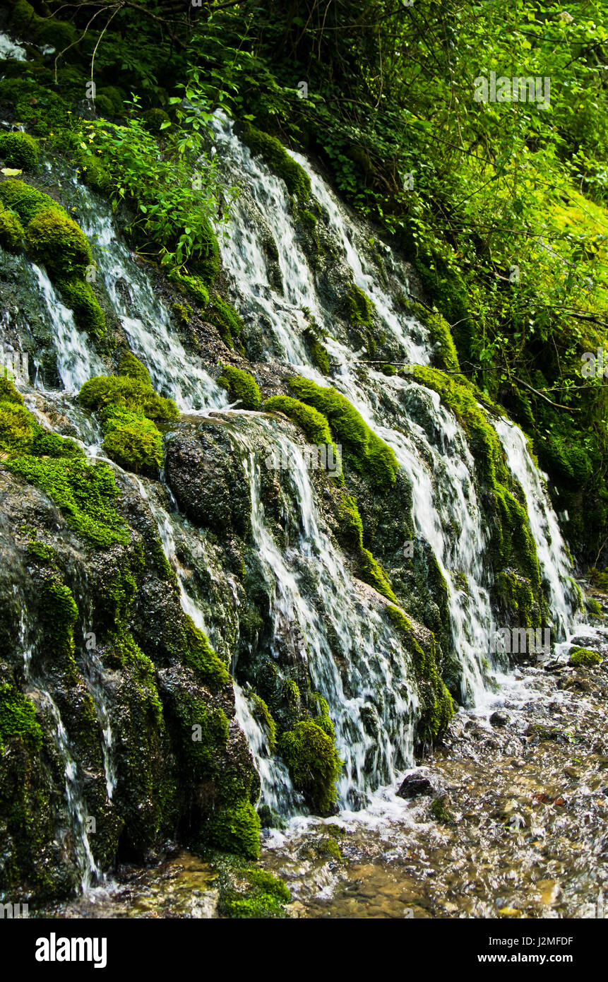 Wellspring and cascade at Tara mountain and national park, west Serbia Stock Photo