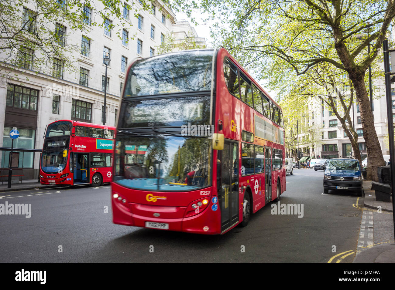 London buses under green spring trees on Aldwych, London, UK Stock Photo
