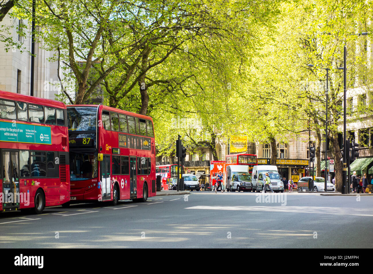 London buses under green spring trees on Aldwych, London, UK Stock Photo