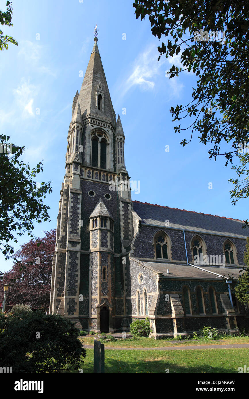 St Andrews parish church, Hertford Town, Hertfordshire County, England, UK Stock Photo