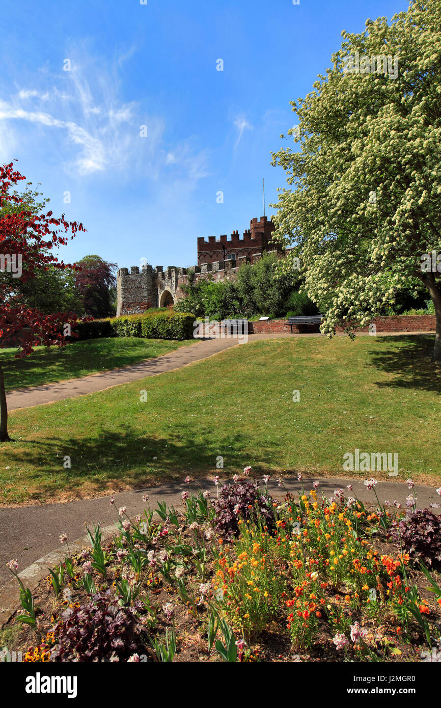 Summer, Castle Gardens, Hertford Castle, Hertford town, Hertfordshire County, England, UK Stock
