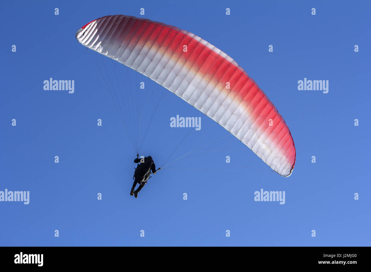 Paraglider flying in the blue sky as background Stock Photo