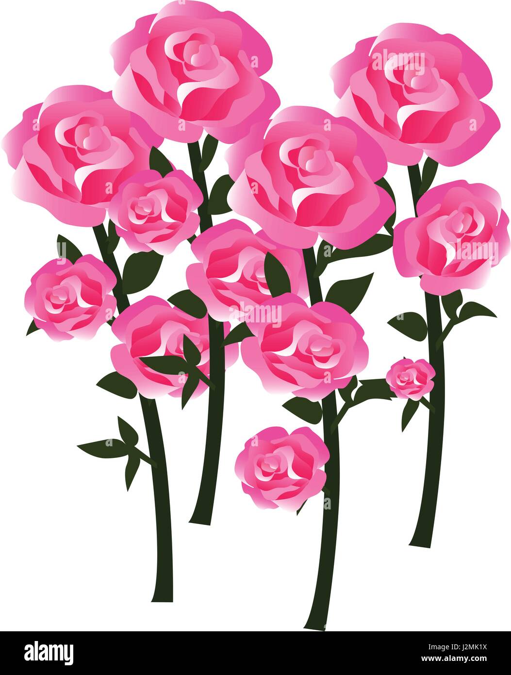 Tender Rose Blossoms with Stems as Fully Developed Flowers - in Balanced Hues of Red, Pink and White Stock Vector