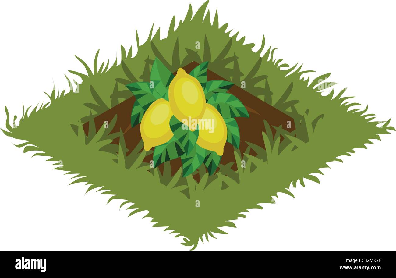 Isometric Cartoon Fruit Garden Bed Planted with Lemon Tree - Elements for Tileset Map Stock Vector
