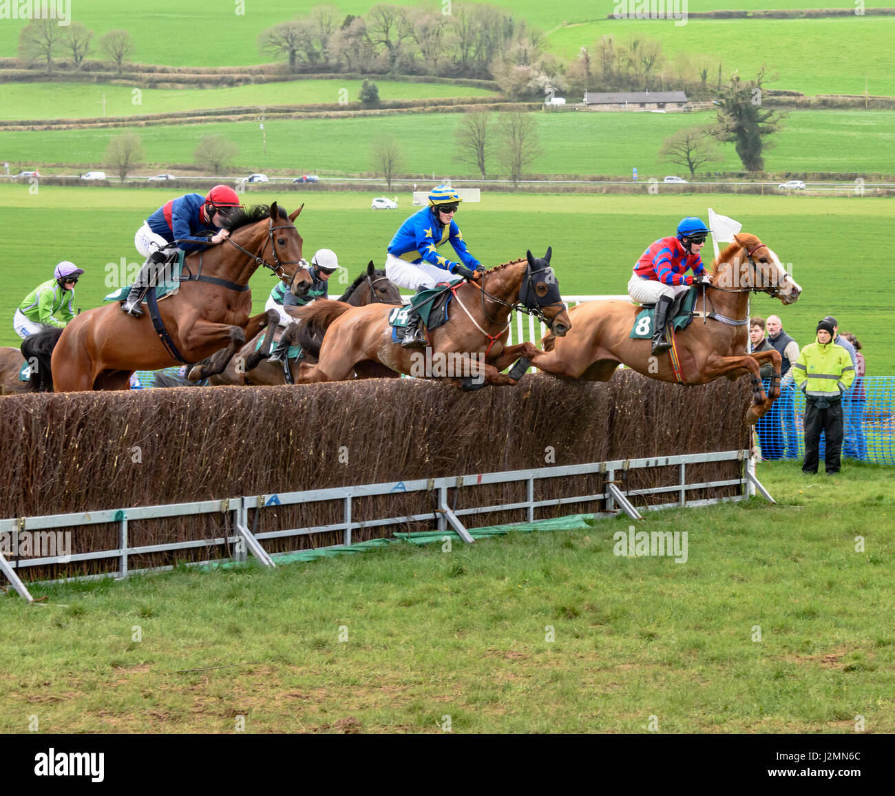Chestnut horses hi-res stock photography and images - Alamy