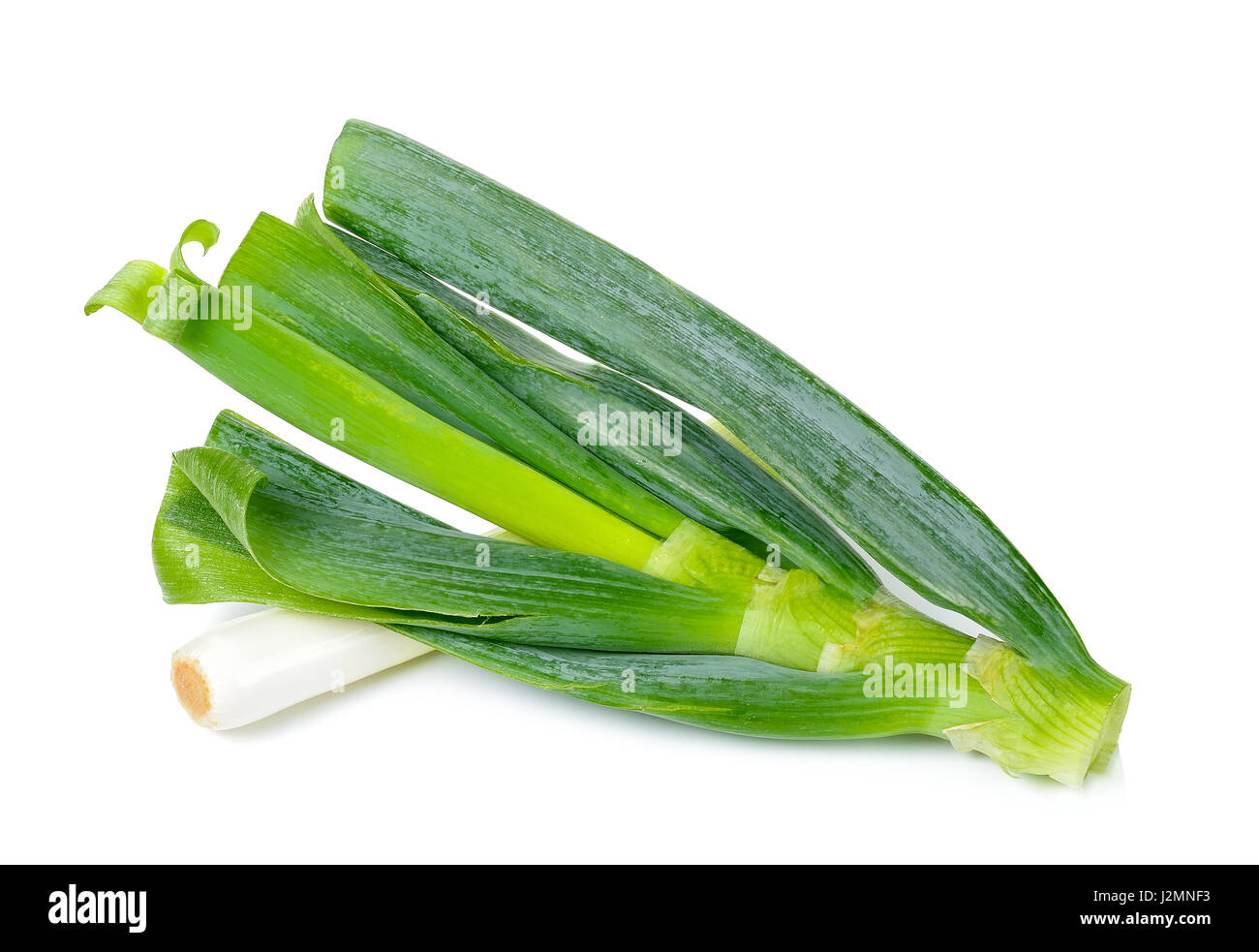 japanese bunching onion isolated on white background Stock Photo Alamy