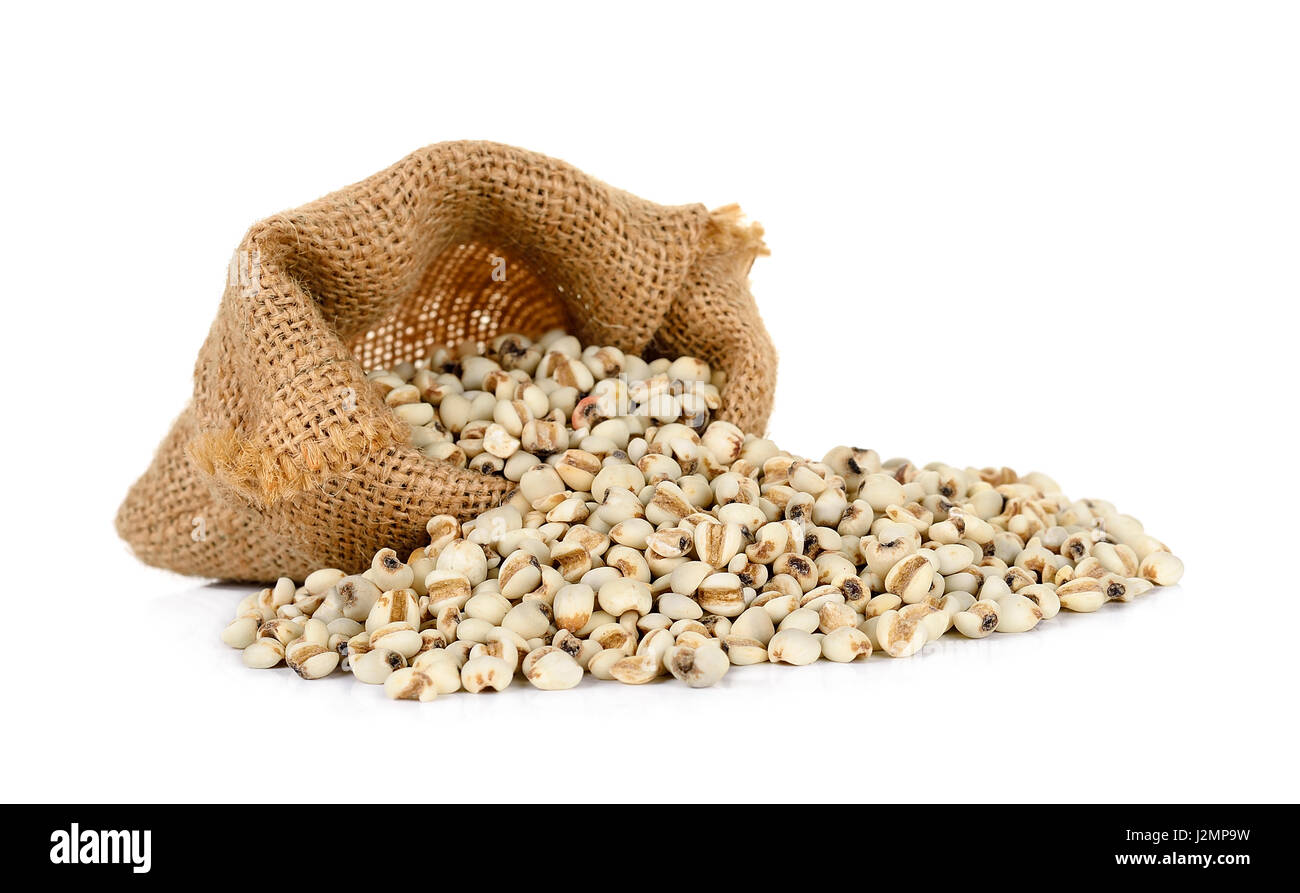 Millet rice , millet grains wiht sack isolated on white background