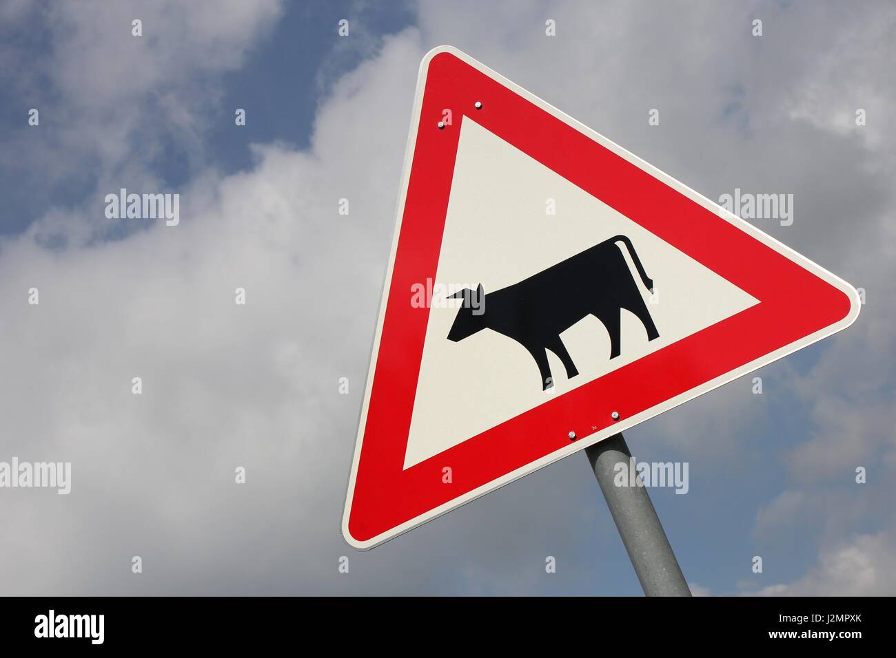 German road sign: domestic animals crossing Stock Photo