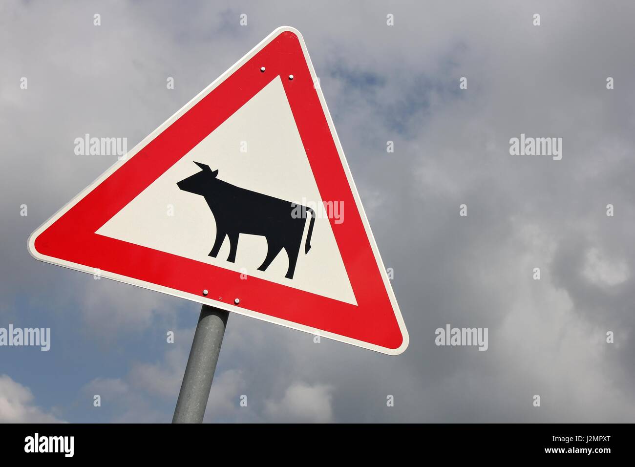German road sign: domestic animals crossing Stock Photo