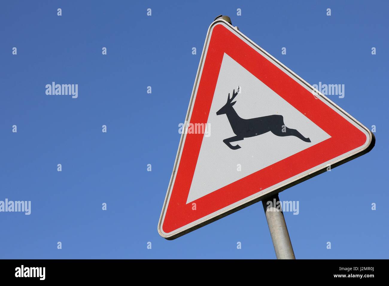 German road sign: wild animals crossing Stock Photo - Alamy German road sign: wild animals crossing Stock Photo - Alamy