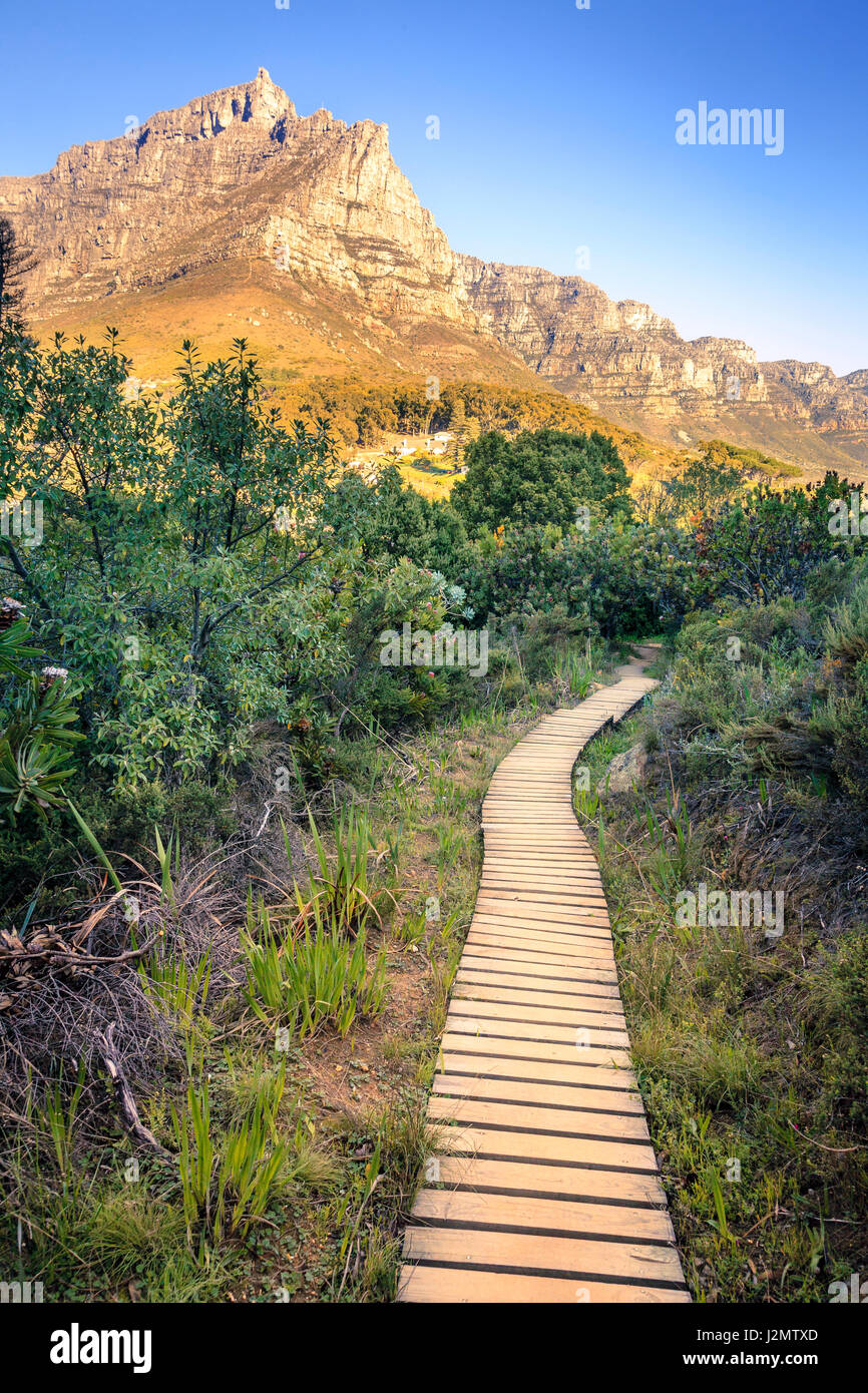 Hiking path by Lions Head in Cape Town, South Africa with a view to Table Mountain Stock Photo