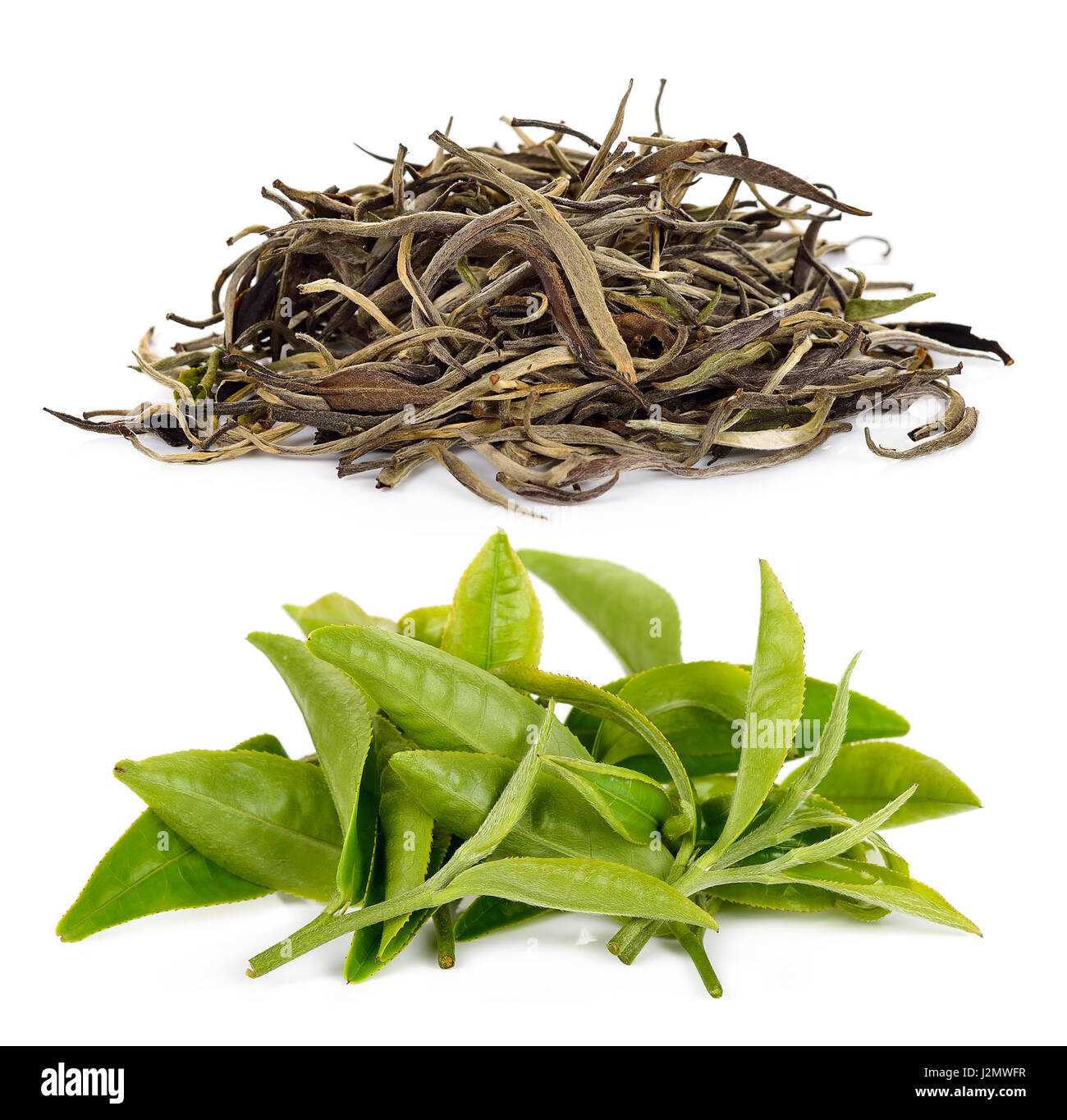 Dried tea leaf isolated on white background Stock Photo Alamy