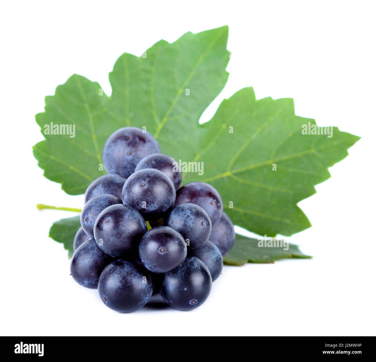 Grape with leaf isolated on the white background Stock Photo - Alamy