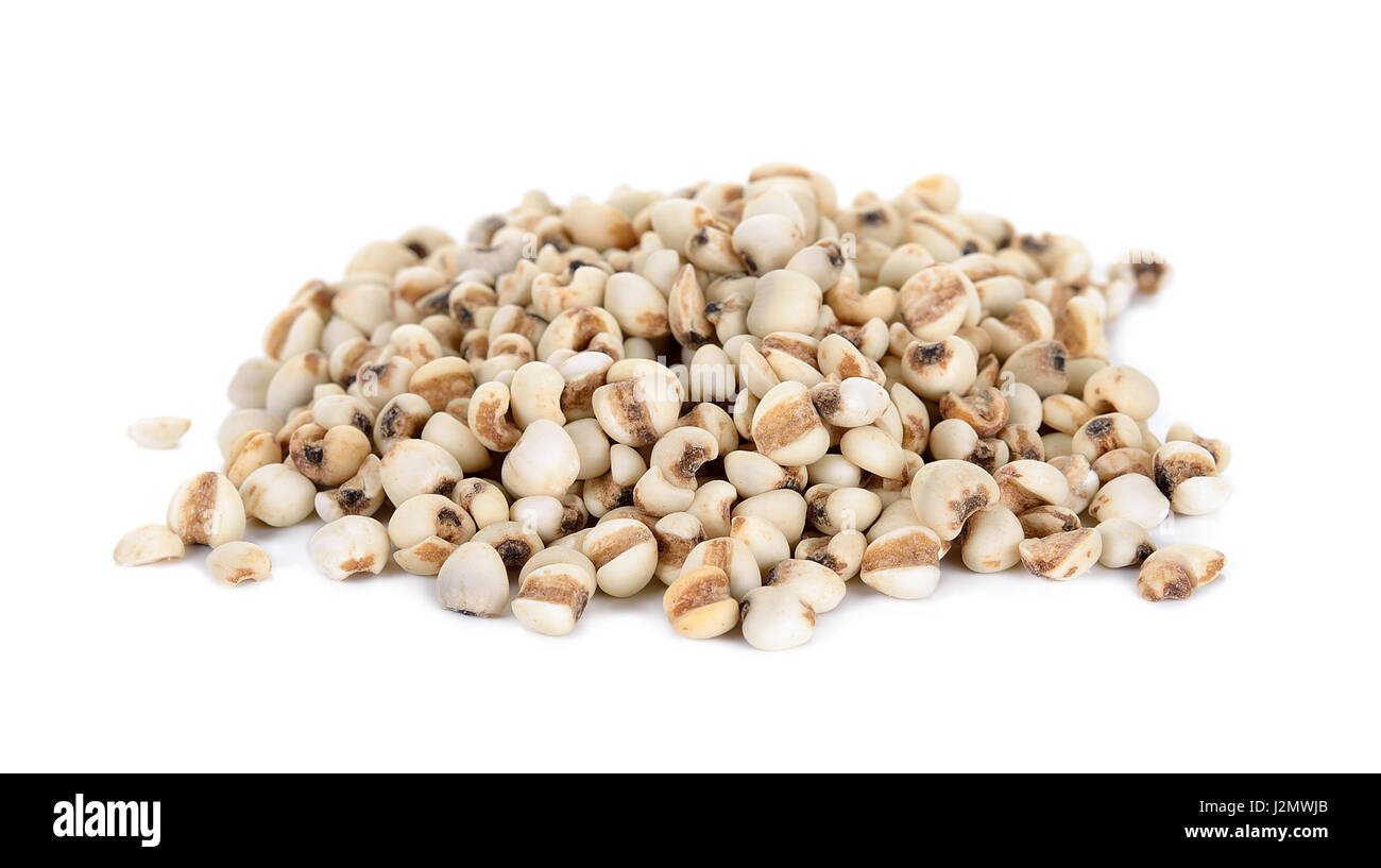 Millet rice , millet grains isolated on white background Stock Photo ...