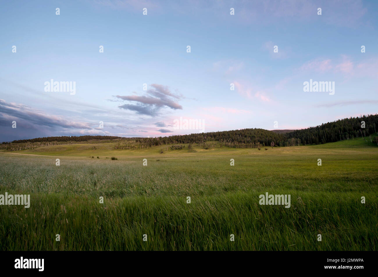 Sunrise over farm field hi-res stock photography and images - Alamy