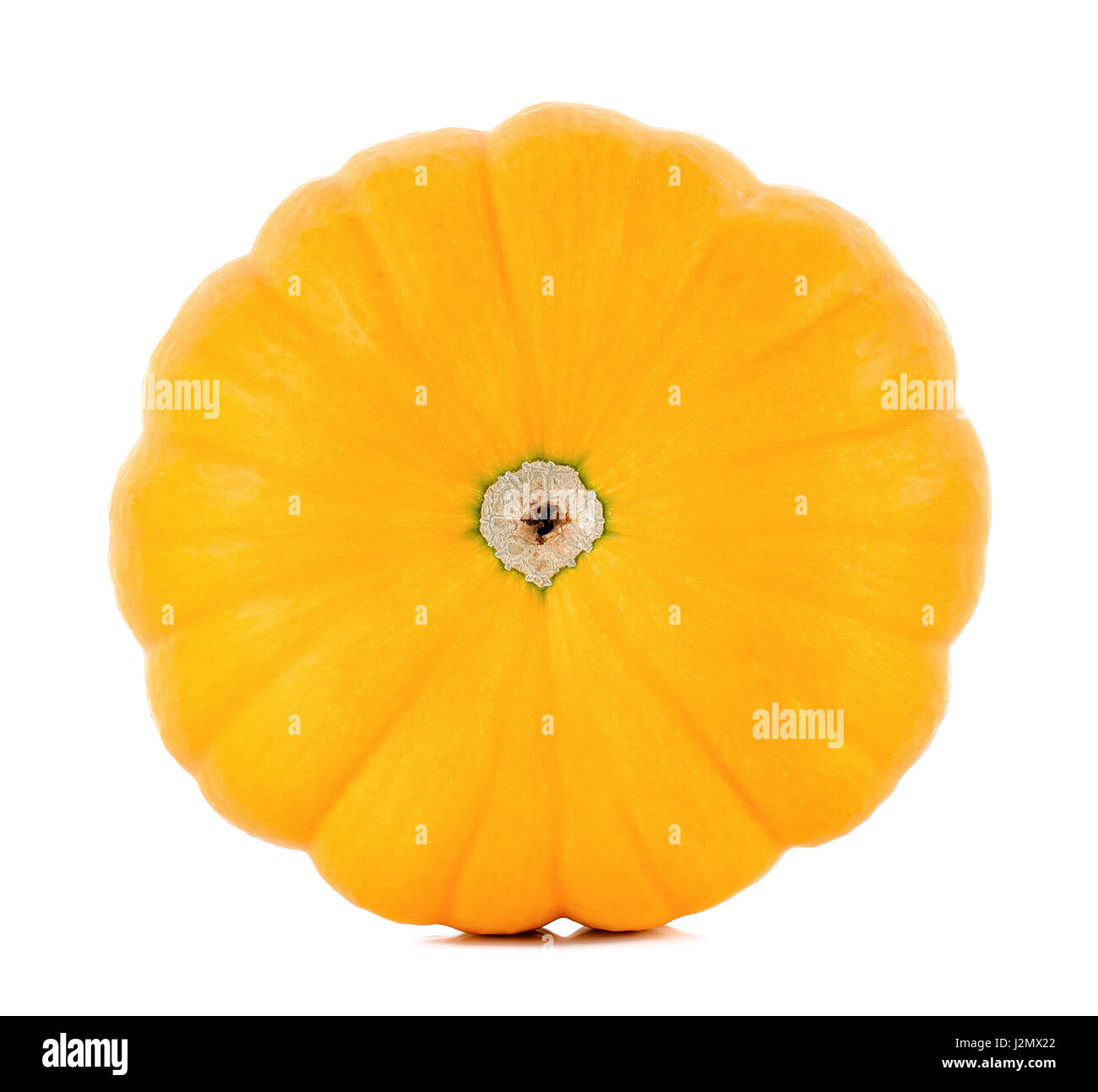 pumpkin isolated on the white background Stock Photo - Alamy