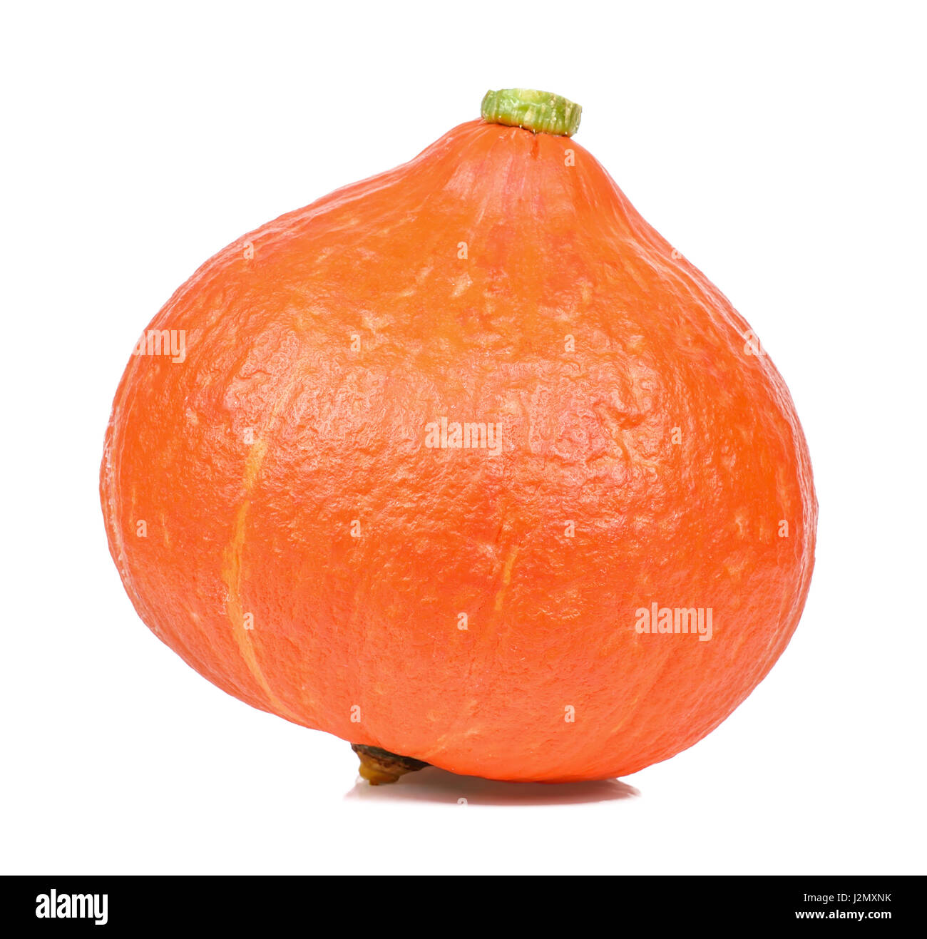 Pumpkin isolated on the white background Stock Photo - Alamy